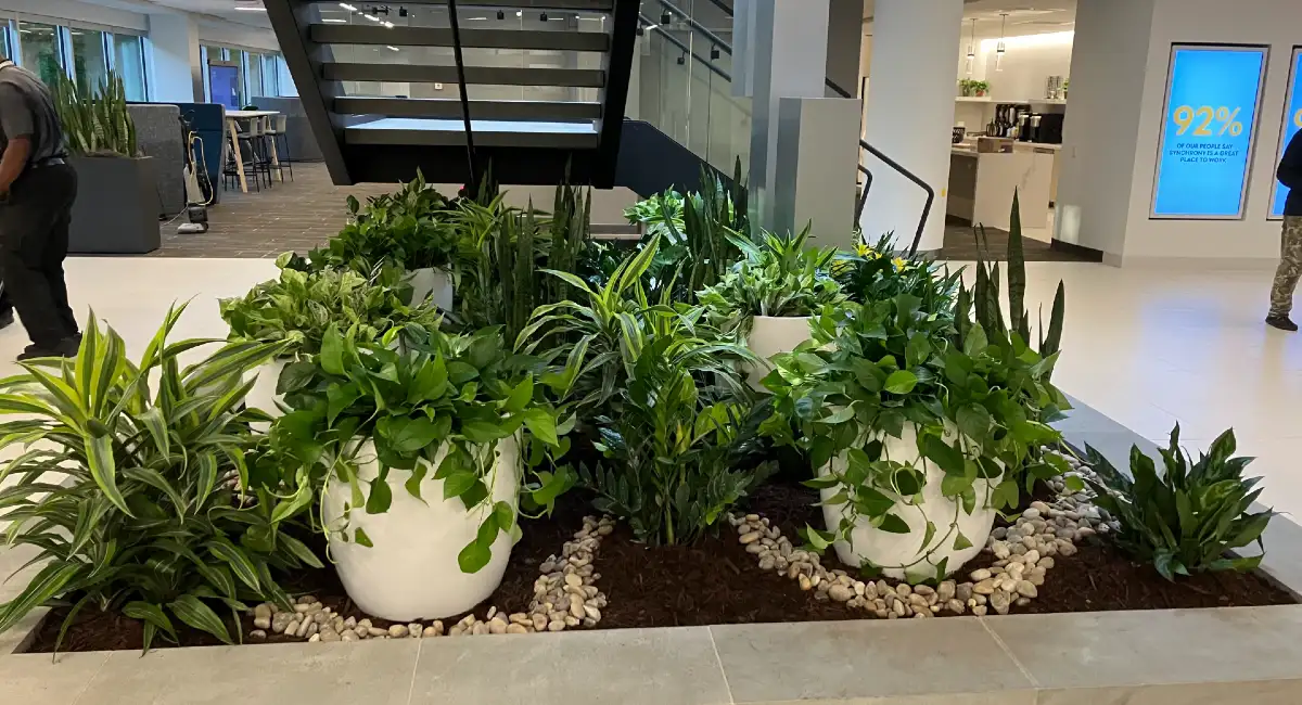 The Benefits of Interior Planting at Airports | Ambius