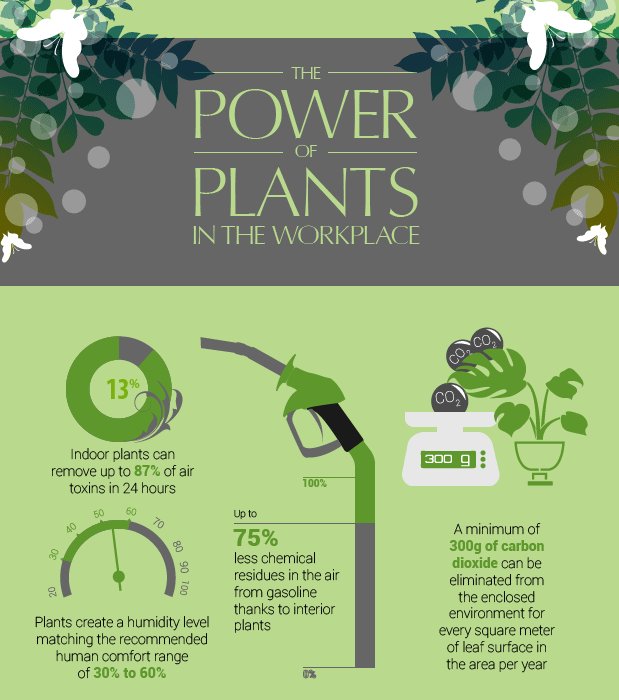 Power of plants