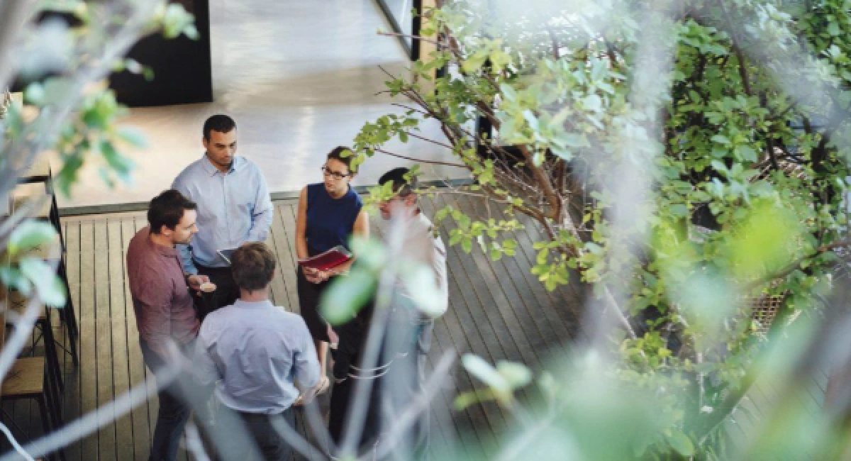 Psychologische en fysiologische voordelen biophilic design