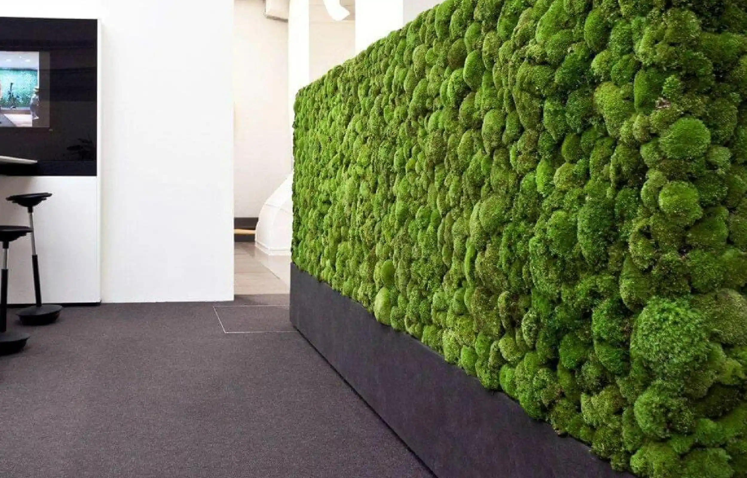 Moss wall